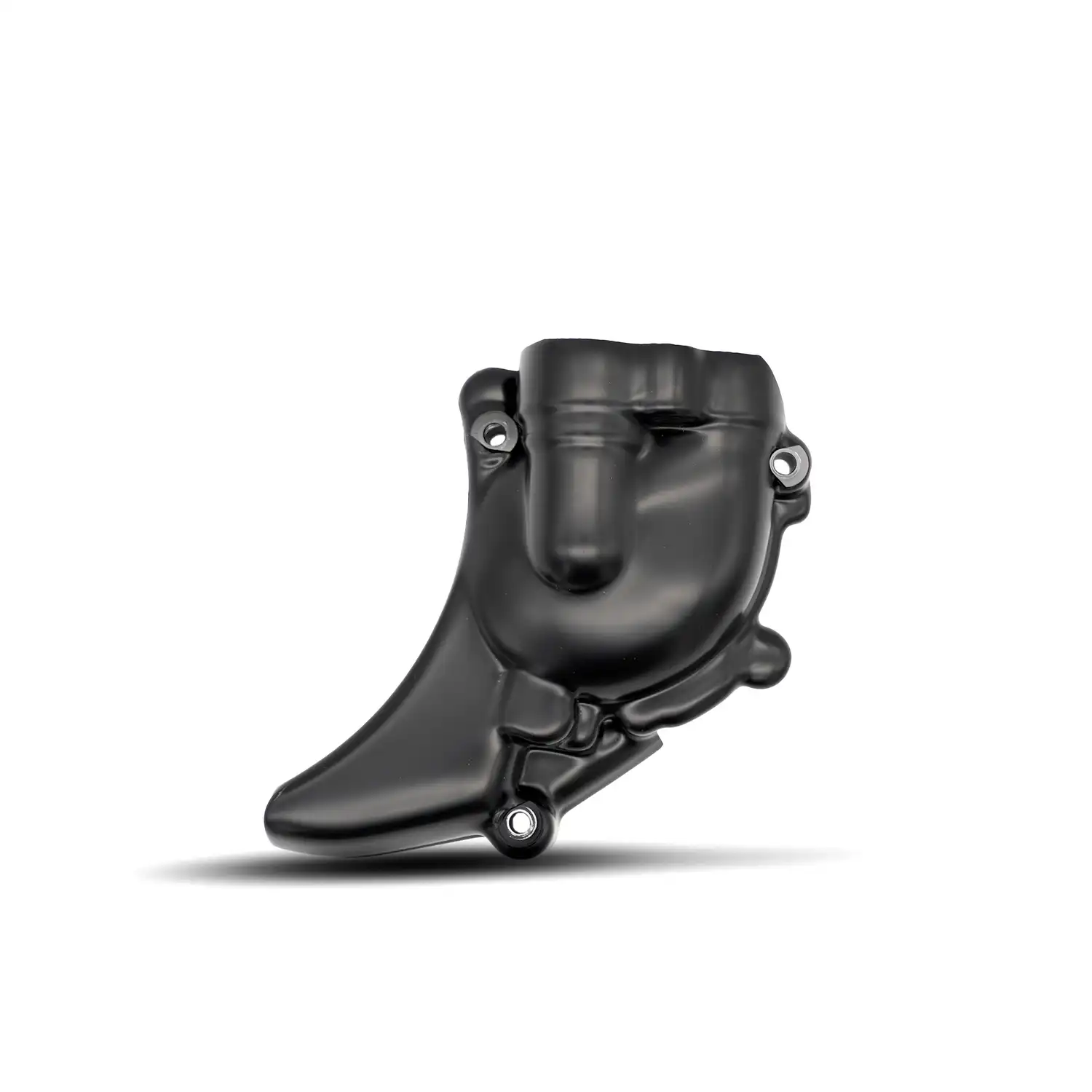Engine Case Cover (RHS) Water Pump Cover