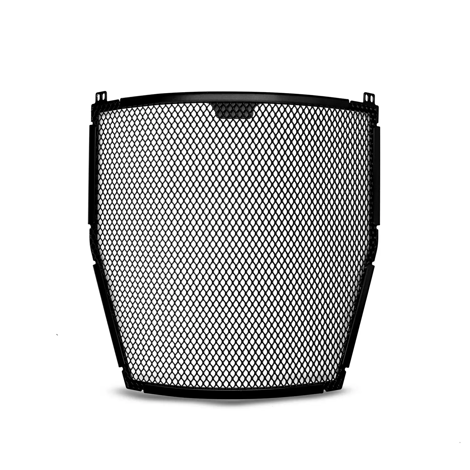Radiator Guard for Ducati Panigale V4, V4S and Speciale & Streetfighter ...